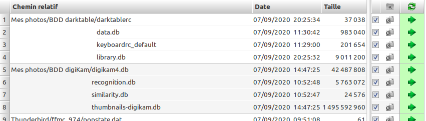 20200907_FFS11.1_group_by_directory.png