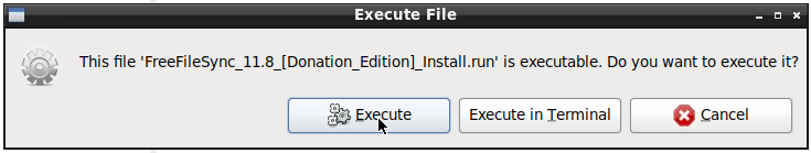 FFS_Execute.png