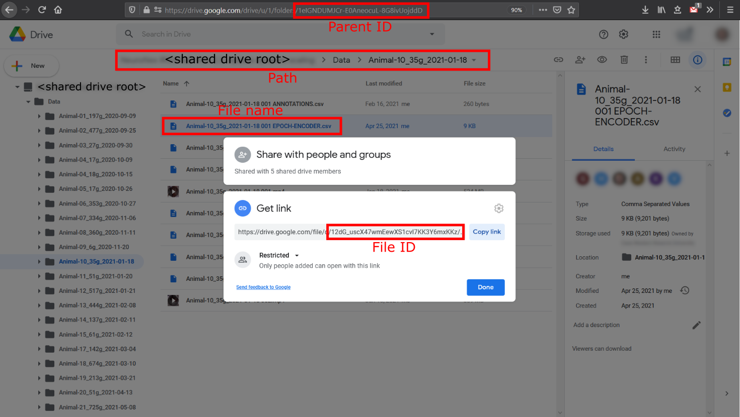 gdrive-browser-10-2.PNG
