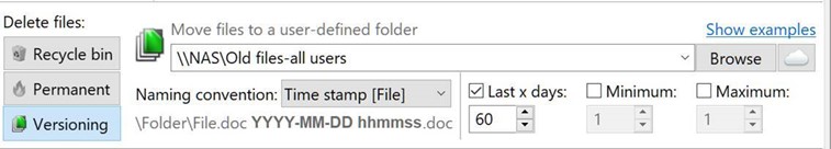versioning.jpg
