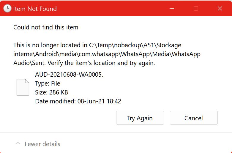 MS explorer error on the file