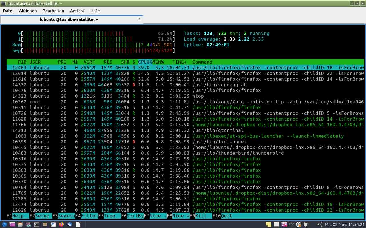 20221102_11h54m35s_TERMINAL-Kopie von -htop-_screencopy.jpg