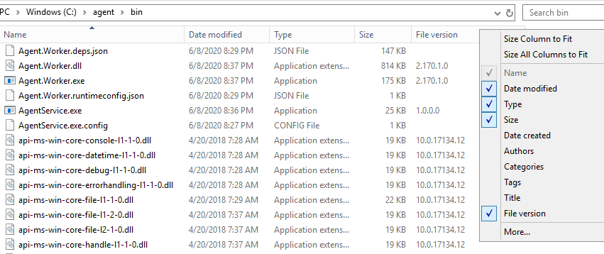 FileVersion.png