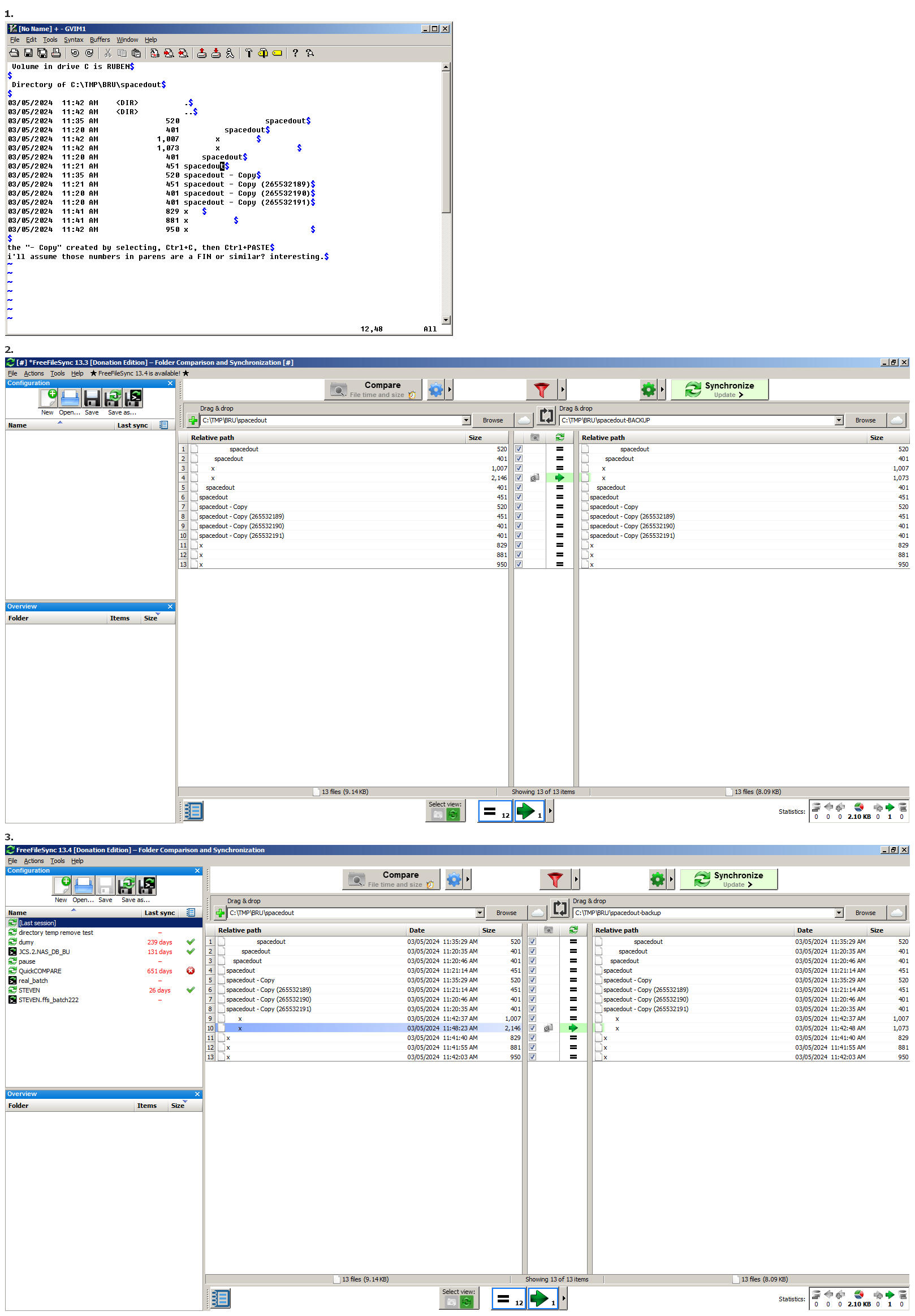 FreeFileSync file names with leading trailing spaces 133 vs 134.png